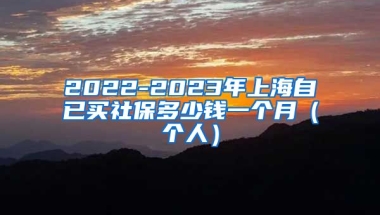 2022-2023年上海自已买社保多少钱一个月（个人）