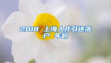 2018 上海人才引进落户 年龄