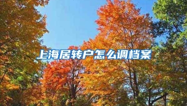 上海居转户怎么调档案