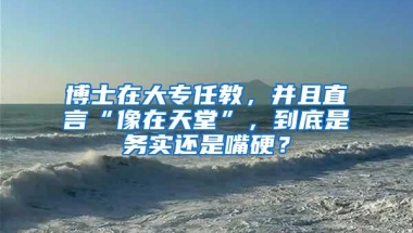 博士在大专任教，并且直言“像在天堂”，到底是务实还是嘴硬？