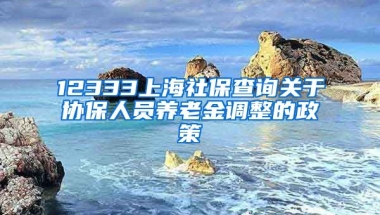 12333上海社保查询关于协保人员养老金调整的政策