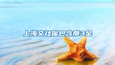 上海交社保包含那3金