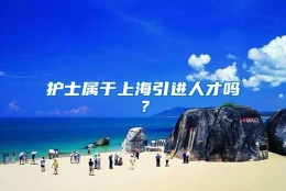 护士属于上海引进人才吗？