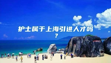 护士属于上海引进人才吗？