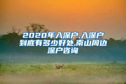 2020年入深户,入深户到底有多少好处,南山周边深户咨询