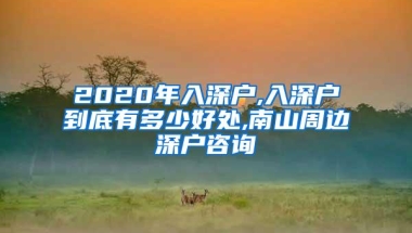 2020年入深户,入深户到底有多少好处,南山周边深户咨询