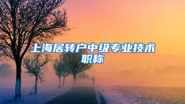 上海居转户中级专业技术职称