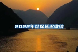 2022年社保延迟缴纳