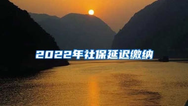 2022年社保延迟缴纳