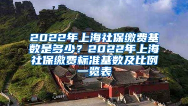 2022年上海社保缴费基数是多少？2022年上海社保缴费标准基数及比例一览表