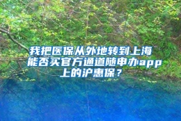 我把医保从外地转到上海能否买官方通道随申办app上的沪惠保？