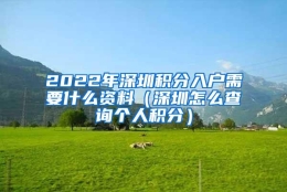 2022年深圳积分入户需要什么资料（深圳怎么查询个人积分）