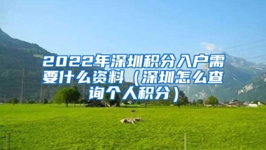 2022年深圳积分入户需要什么资料（深圳怎么查询个人积分）