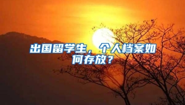 出国留学生，个人档案如何存放？