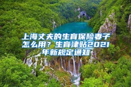 上海丈夫的生育保险妻子怎么用？生育津贴2021年新规定通知