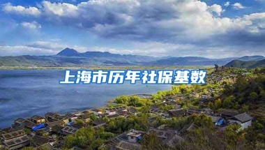 上海市历年社保基数