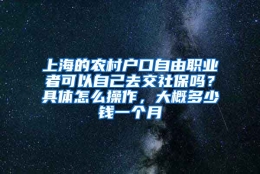 上海的农村户口自由职业者可以自己去交社保吗？具体怎么操作，大概多少钱一个月