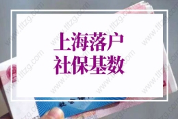 2022上海落户社保基数：如何在线查询上海社保基数？