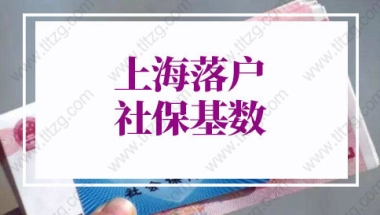 2022上海落户社保基数：如何在线查询上海社保基数？