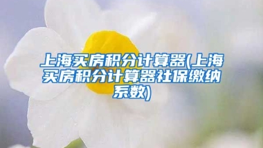 上海买房积分计算器(上海买房积分计算器社保缴纳系数)