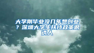 大学刚毕业没几年想创业？深圳大学生扶持政策很诱人