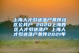 上海人才引进落户条件社区公共户 2020上海各区人才引进落户 上海人才引进落户条件2021年