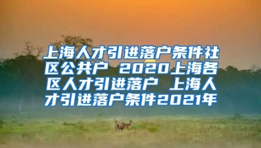 上海人才引进落户条件社区公共户 2020上海各区人才引进落户 上海人才引进落户条件2021年