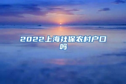 2022上海社保农村户口吗