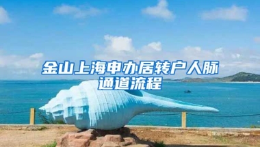 金山上海申办居转户人脉通道流程