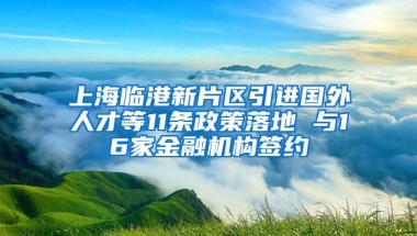 上海临港新片区引进国外人才等11条政策落地 与16家金融机构签约