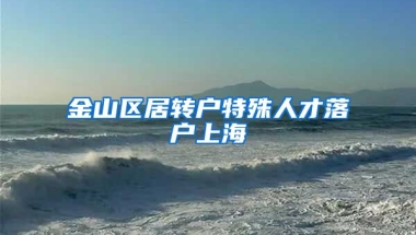 金山区居转户特殊人才落户上海