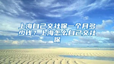 上海自己交社保一个月多少钱？上海怎么自己交社保