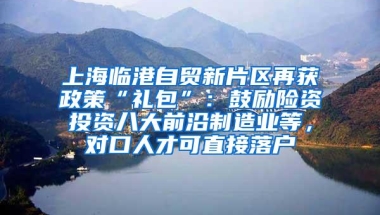 上海临港自贸新片区再获政策“礼包”：鼓励险资投资八大前沿制造业等，对口人才可直接落户