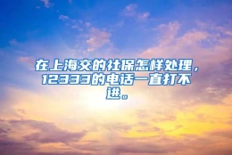 在上海交的社保怎样处理，12333的电话一直打不进。