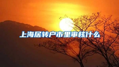 上海居转户市里审核什么