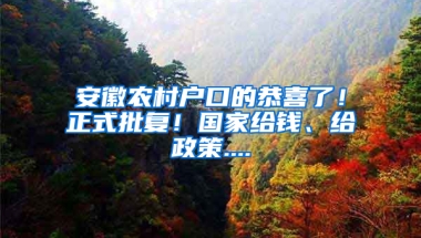 安徽农村户口的恭喜了！正式批复！国家给钱、给政策....