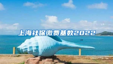 上海社保缴费基数2022