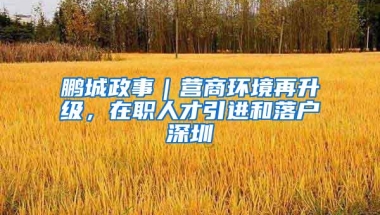 鹏城政事｜营商环境再升级，在职人才引进和落户深圳