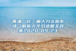 青浦“长三角人力资源市场”解析人才引进相关政策2020-09-23