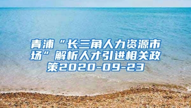 青浦“长三角人力资源市场”解析人才引进相关政策2020-09-23