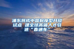 浦东将成中国制度型开放试点 建全球高端人才引进“直通车”