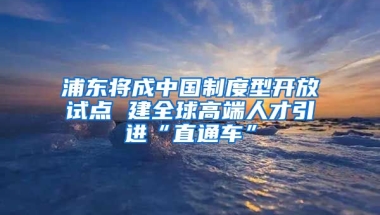 浦东将成中国制度型开放试点 建全球高端人才引进“直通车”