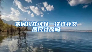 农民现在可以一次性补交居民社保吗