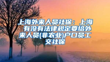 上海外来人员社保：上海 有没有法律规定要给外来人员(非农业)户口员工交社保