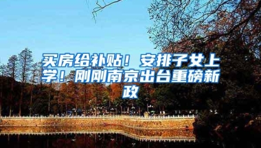 买房给补贴！安排子女上学！刚刚南京出台重磅新政