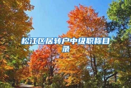 松江区居转户中级职称目录