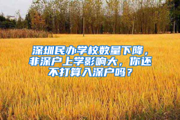 深圳民办学校数量下降，非深户上学影响大，你还不打算入深户吗？