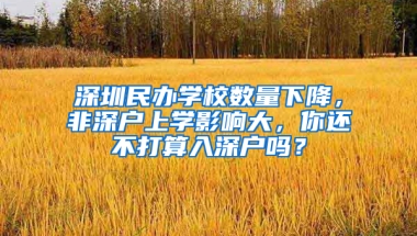 深圳民办学校数量下降，非深户上学影响大，你还不打算入深户吗？