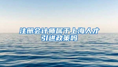 注册会计师属于上海人才引进政策吗