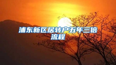 浦东新区居转户五年三倍流程